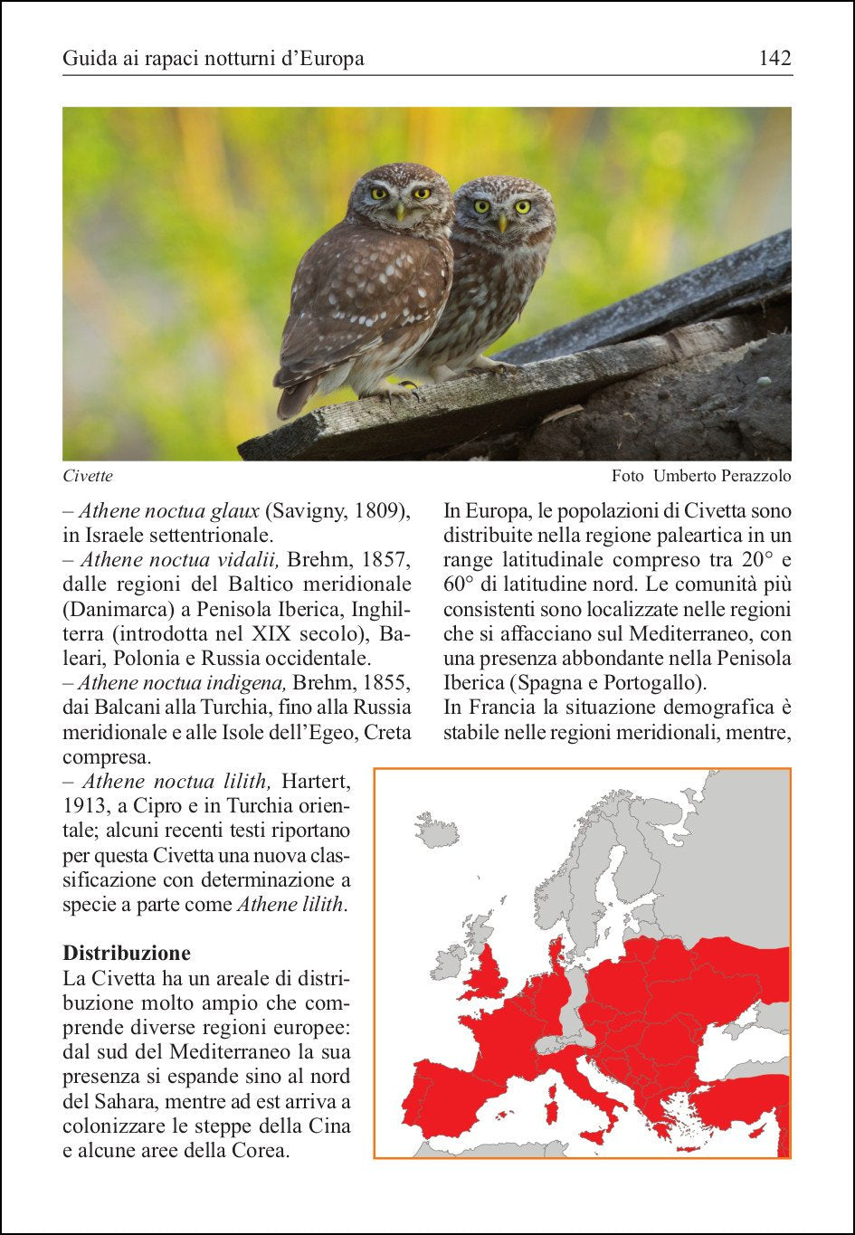 Guida ai rapaci notturni d'Europa