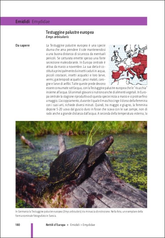 Rettili e Anfibi d'Europa
