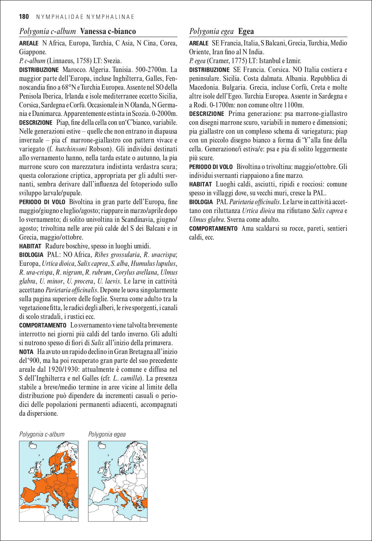 Guida alle farfalle d'Europa. Oltre 500 specie illustrate