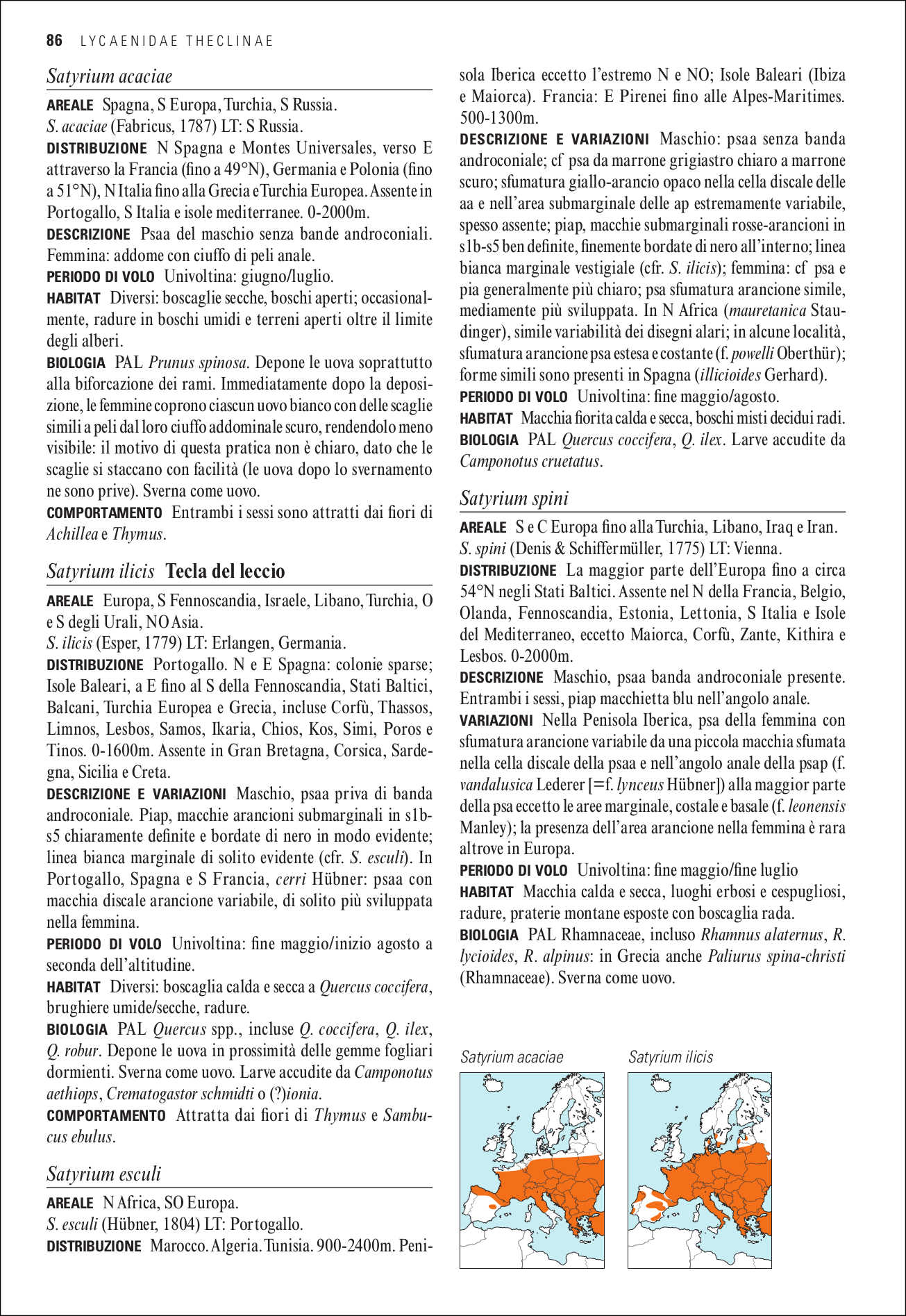 Guida alle farfalle d'Europa. Oltre 500 specie illustrate