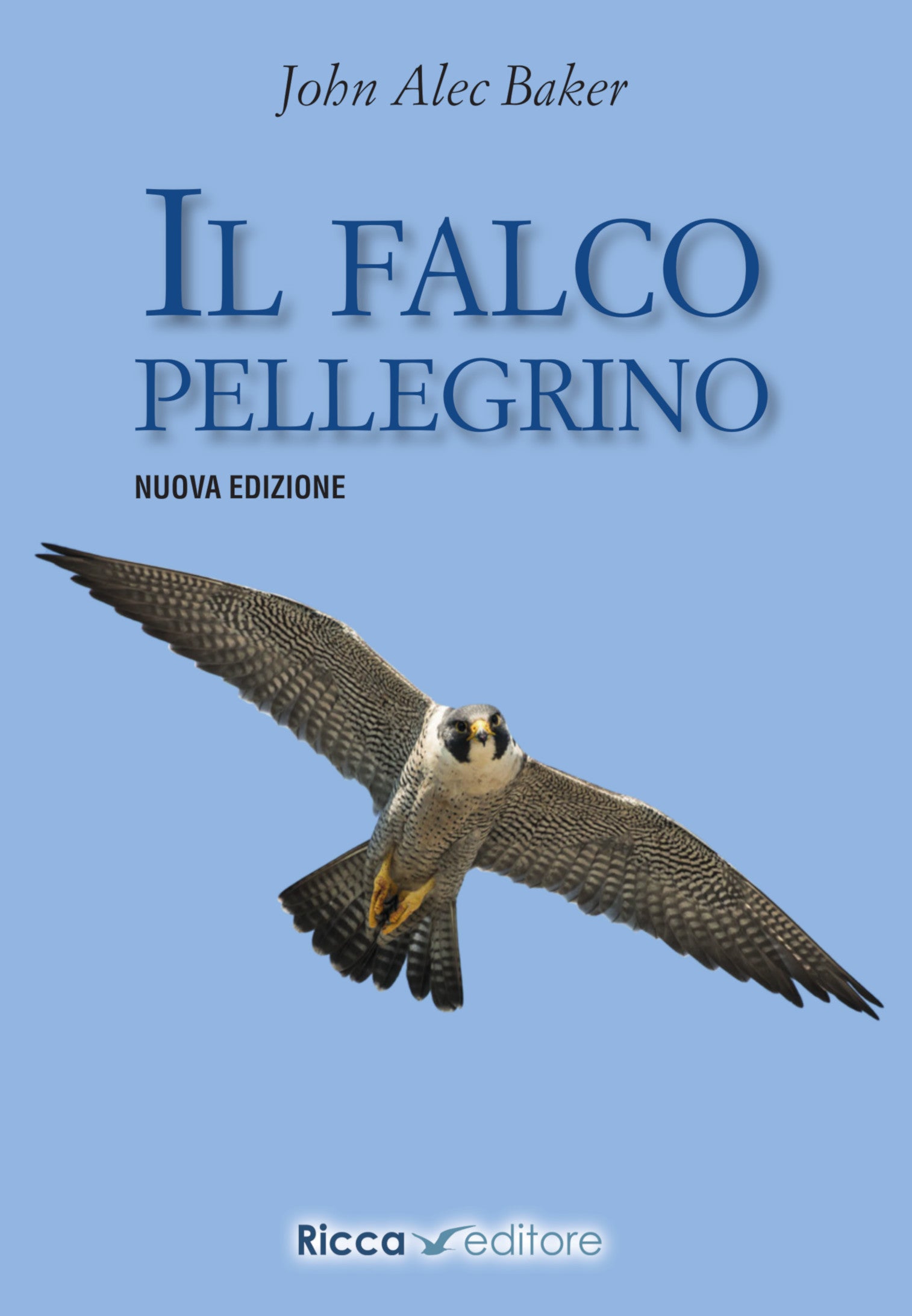 Il falco pellegrino