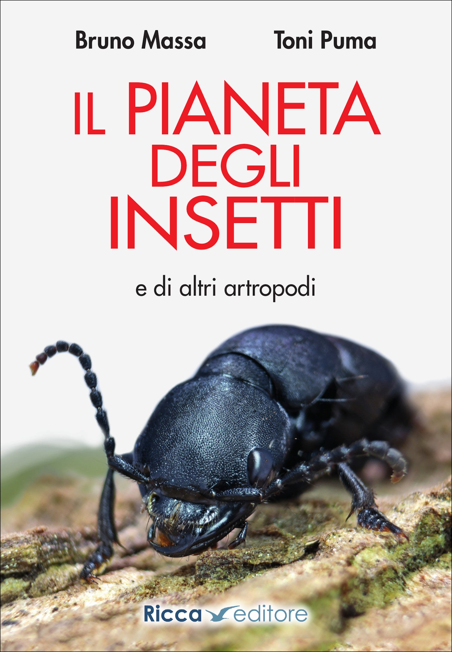 Il pianeta degli insetti