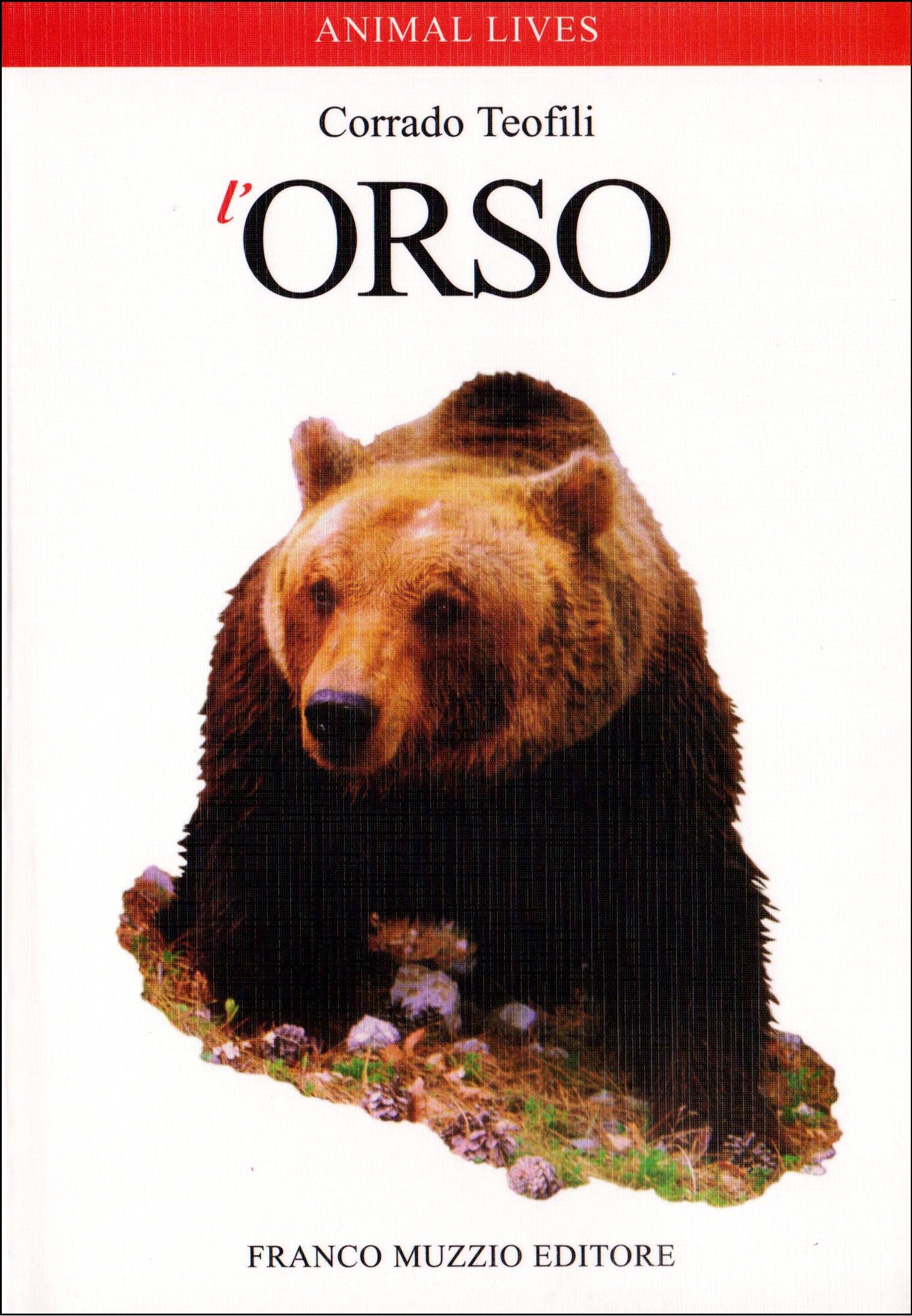 L' orso