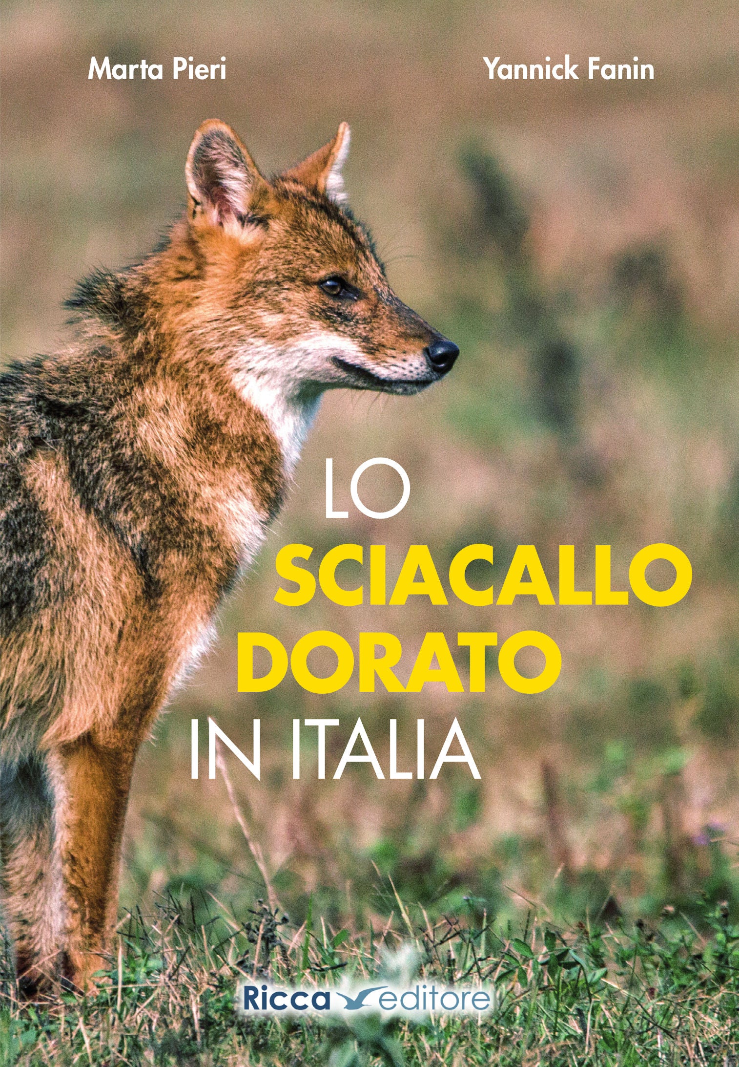 Lo sciacallo dorato in Italia
