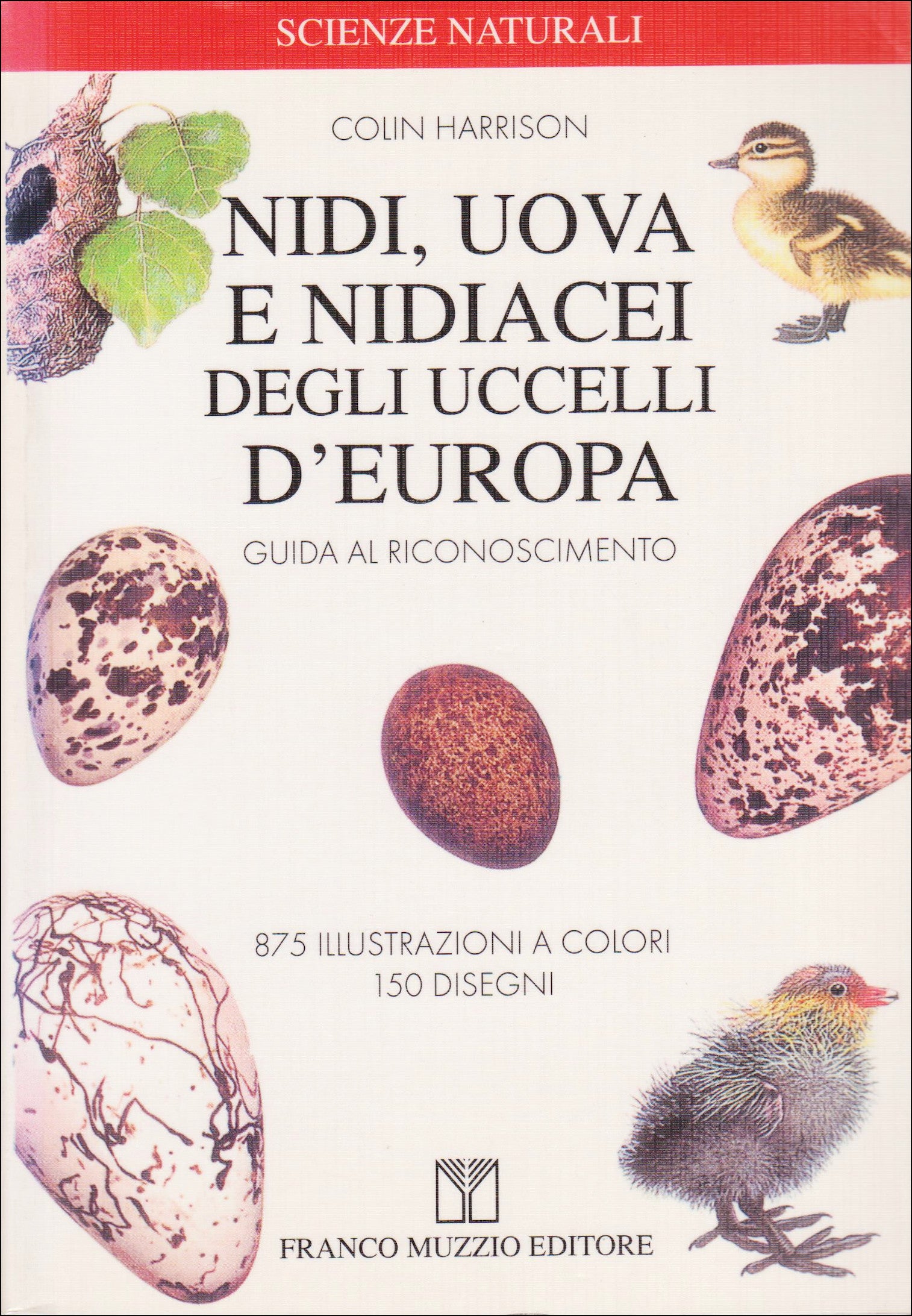 Nidi, uova e nidiacei degli uccelli d'Europa
