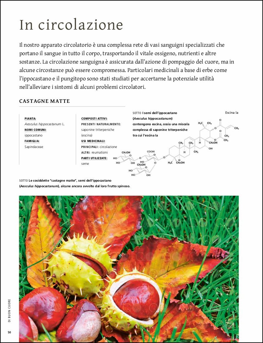 Piante che curano. Le piante come fonte di medicine, dai farmaci ai rimedi erboristici