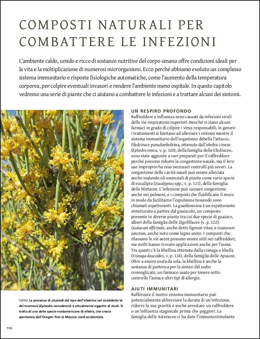 Piante che curano. Le piante come fonte di medicine, dai farmaci ai rimedi erboristici