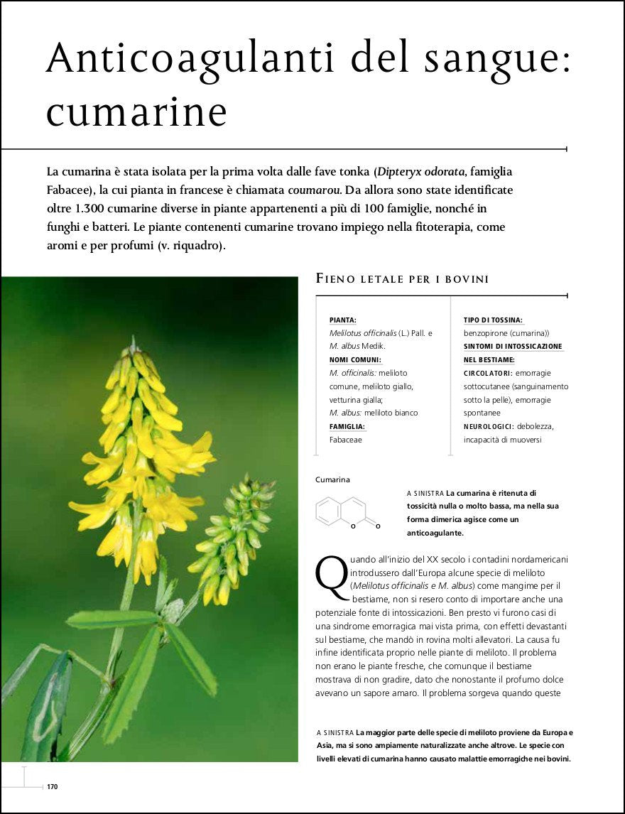 Piante che uccidono. Gli effetti tossici delle piante più velenose del mondo