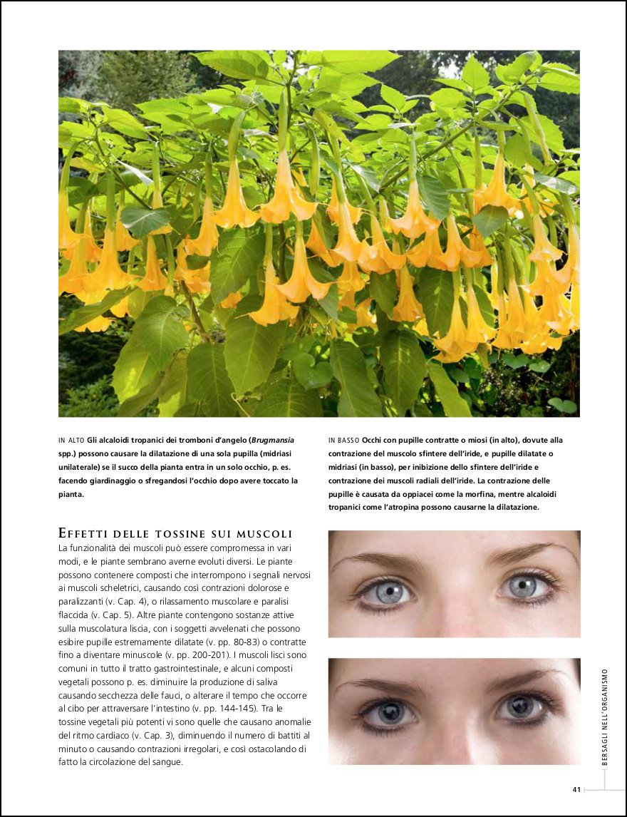 Piante che uccidono. Gli effetti tossici delle piante più velenose del mondo