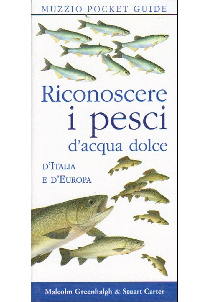 eamve Tardigrado - Peluche a forma di orsetto d'acqua, realistico, 25,4