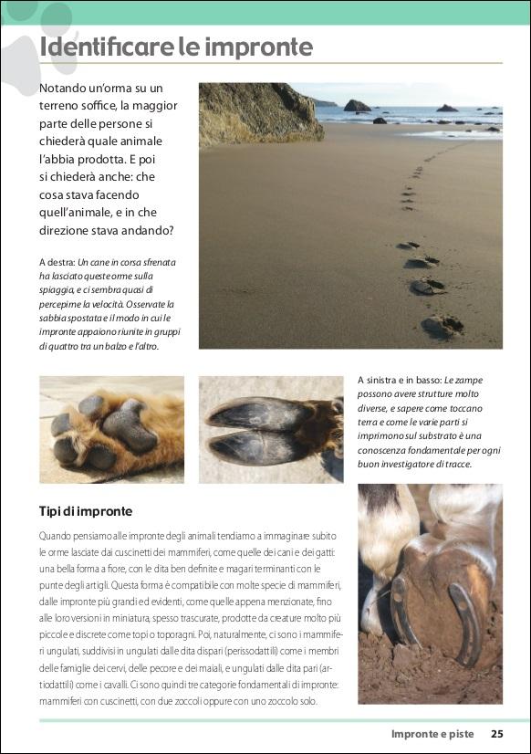 Tracce e segni degli animali
