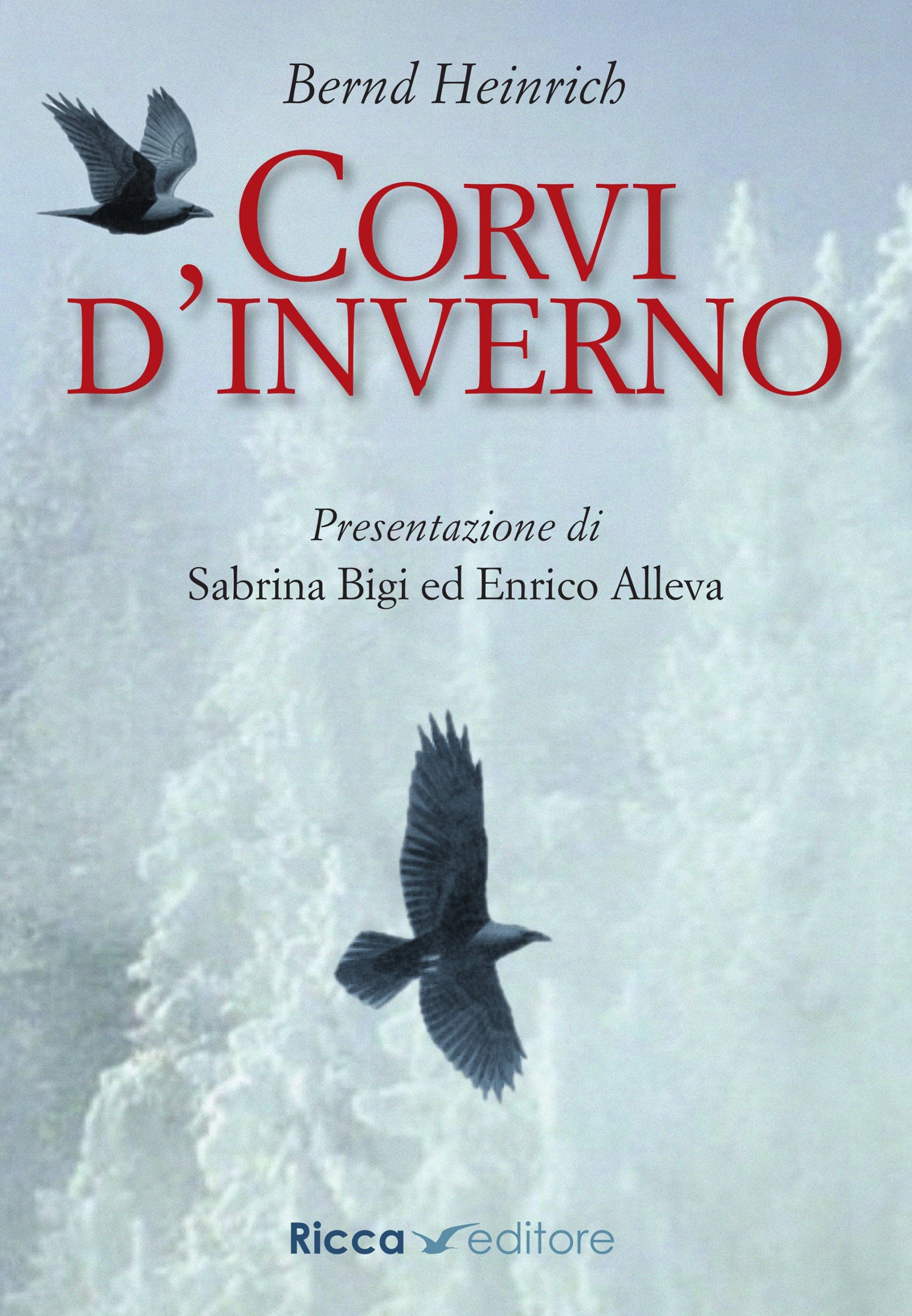 Corvi d'inverno