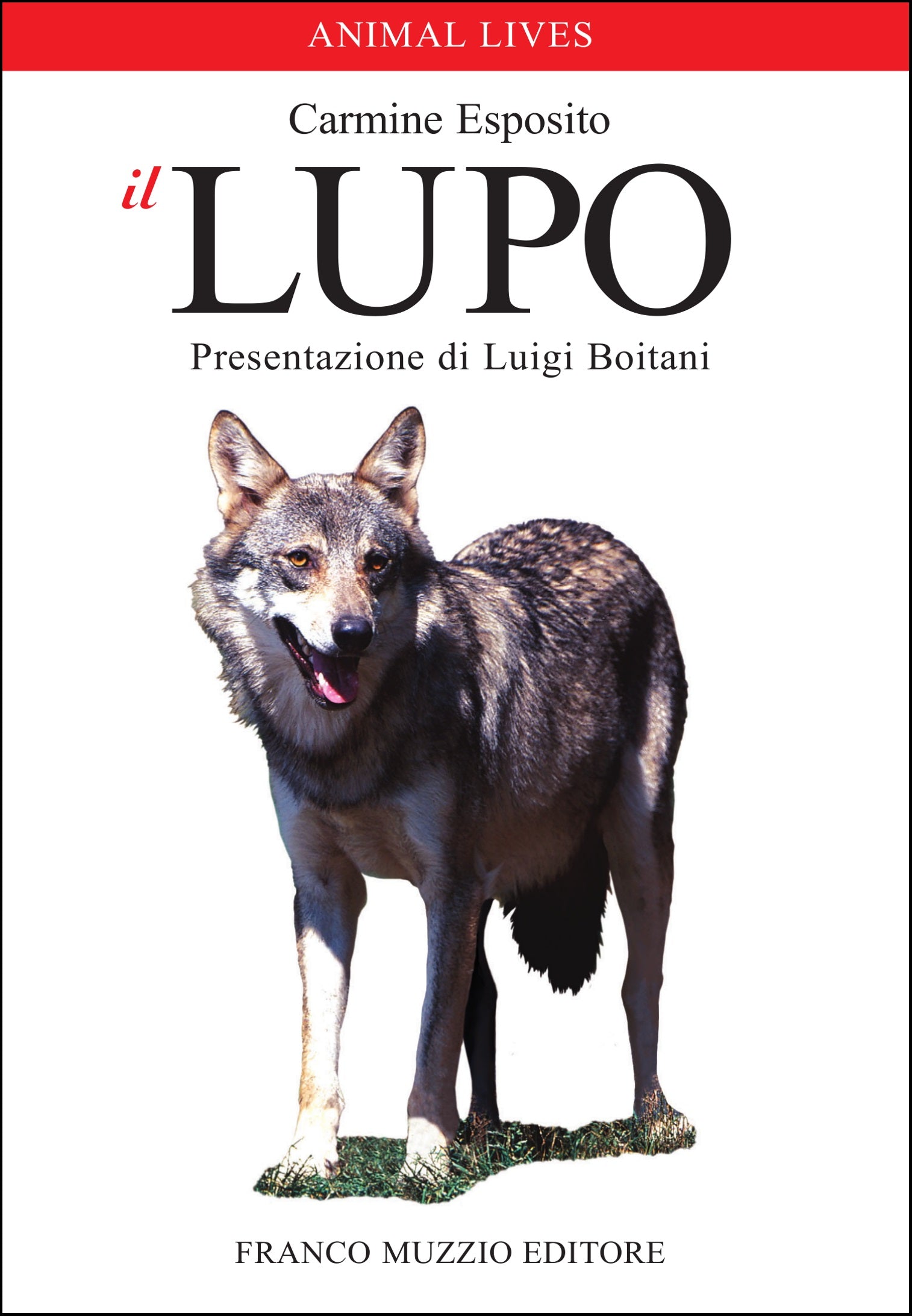 Il lupo