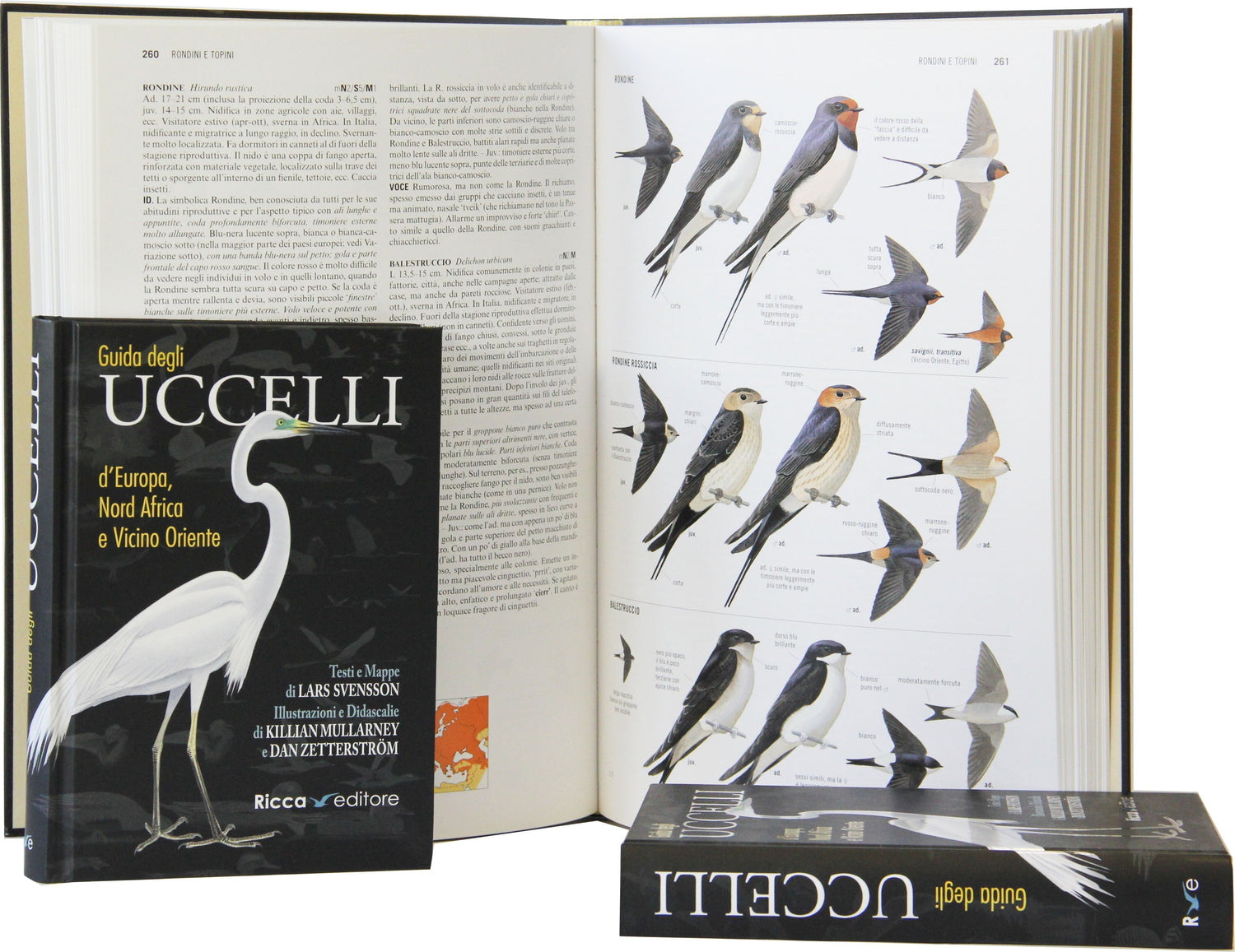 Confronto libri sul birdwatching
