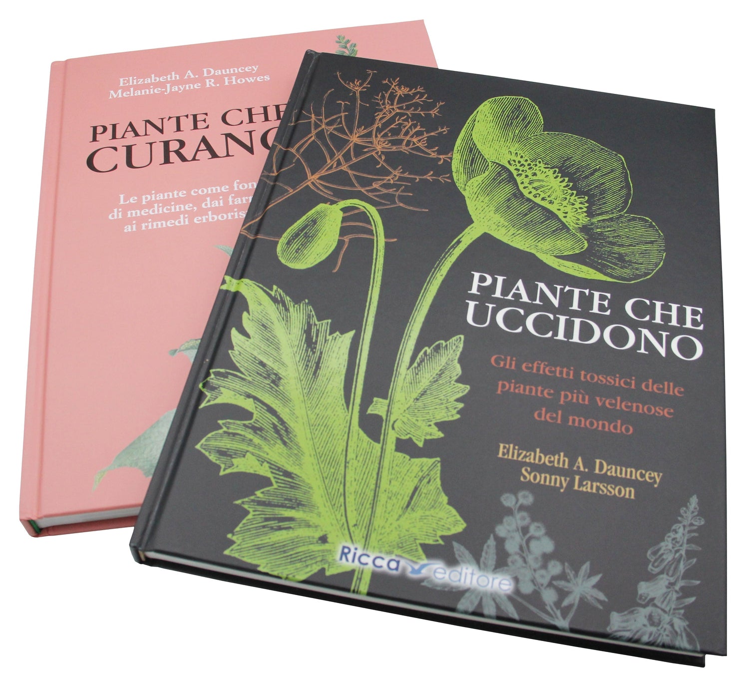 🌿 Piante Curative: Usi, Benefici e Guida alla Scelta Consapevole