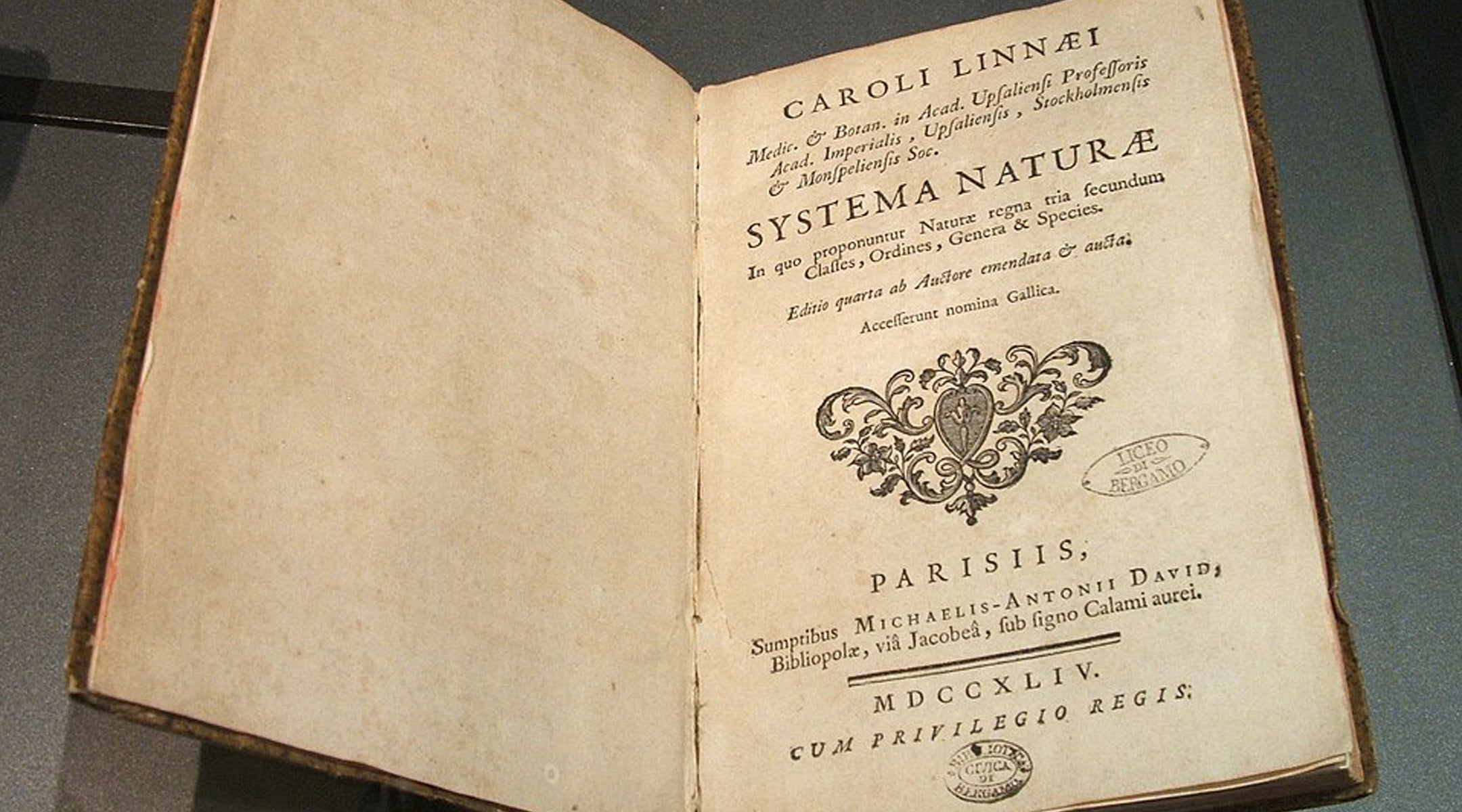 Storia e Natura