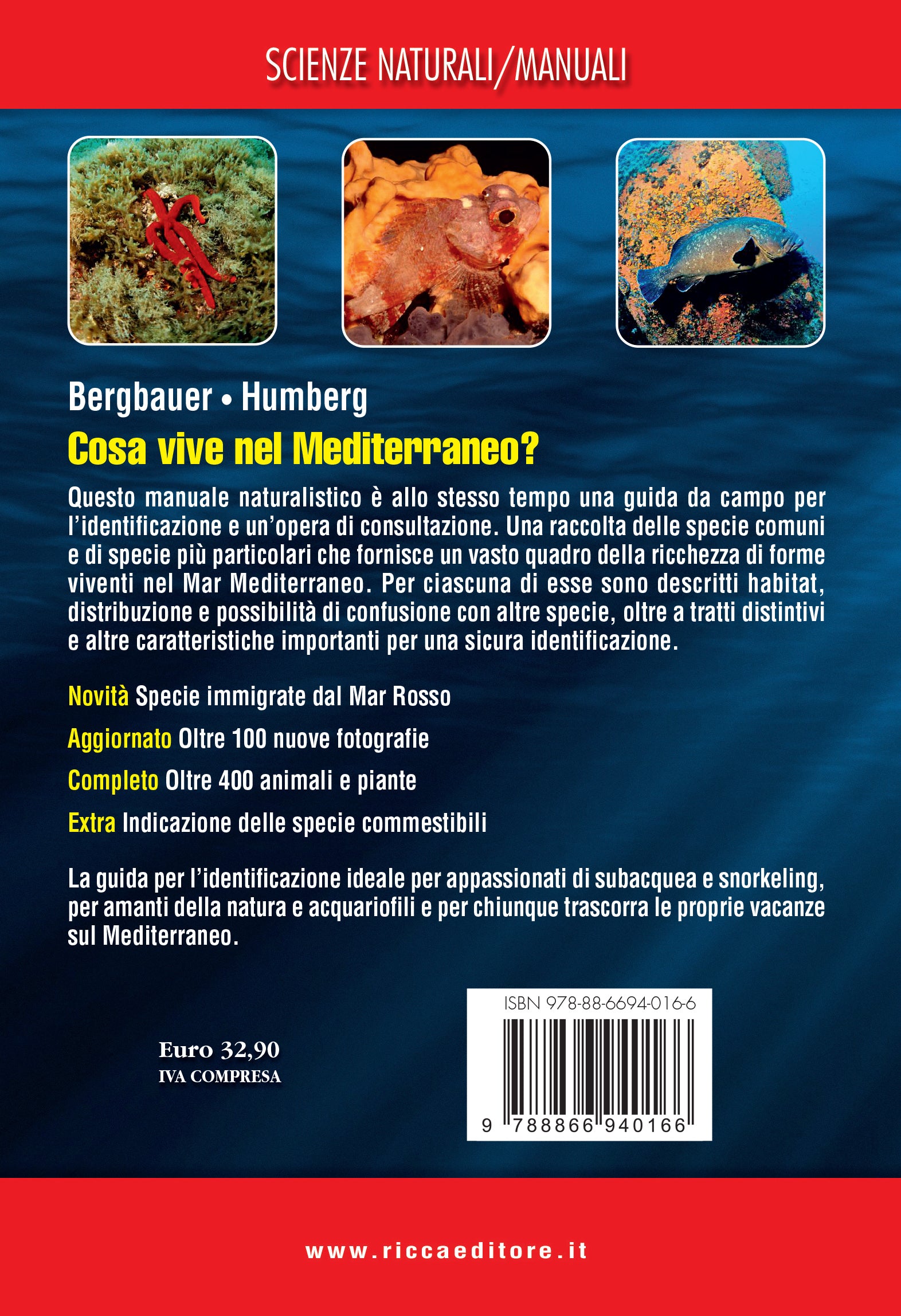 Cosa vive nel Mediterraneo? Guida all'identificazione per subacquea e snorkeling