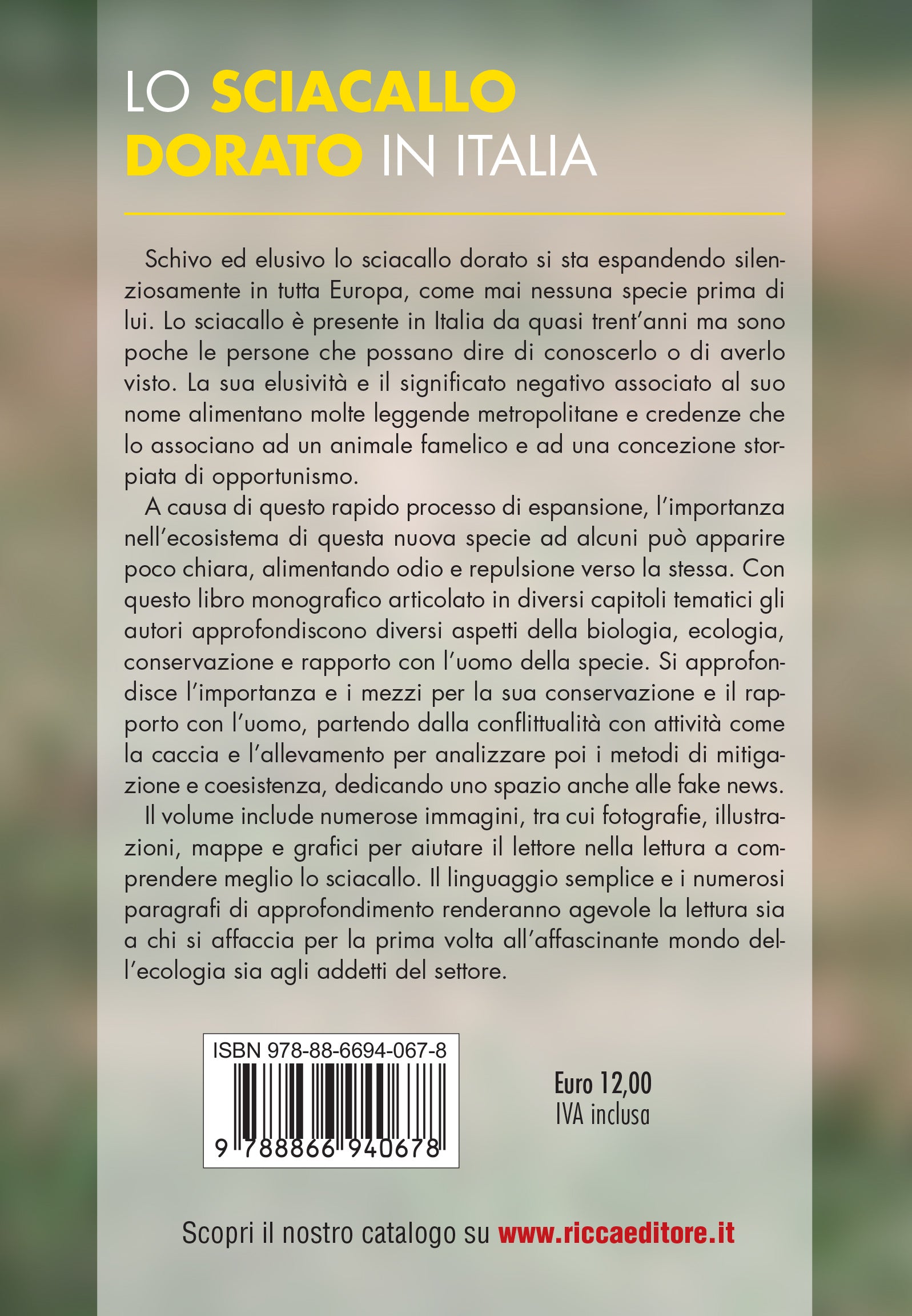 Lo sciacallo dorato in Italia