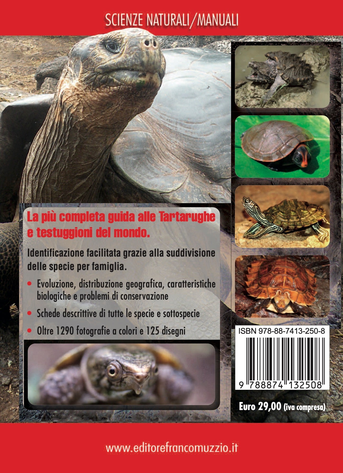 Guida alle tartarughe e testuggini del mondo