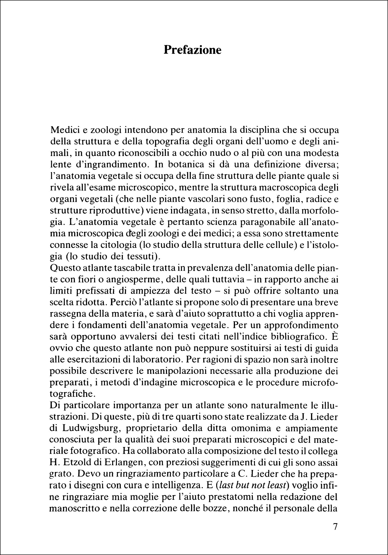 Atlante di anatomia vegetale. La struttura microscopica delle piante vascolari