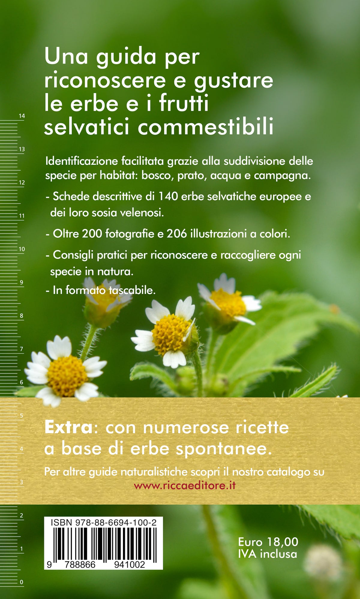 Erbe e frutti selvatici commestibili