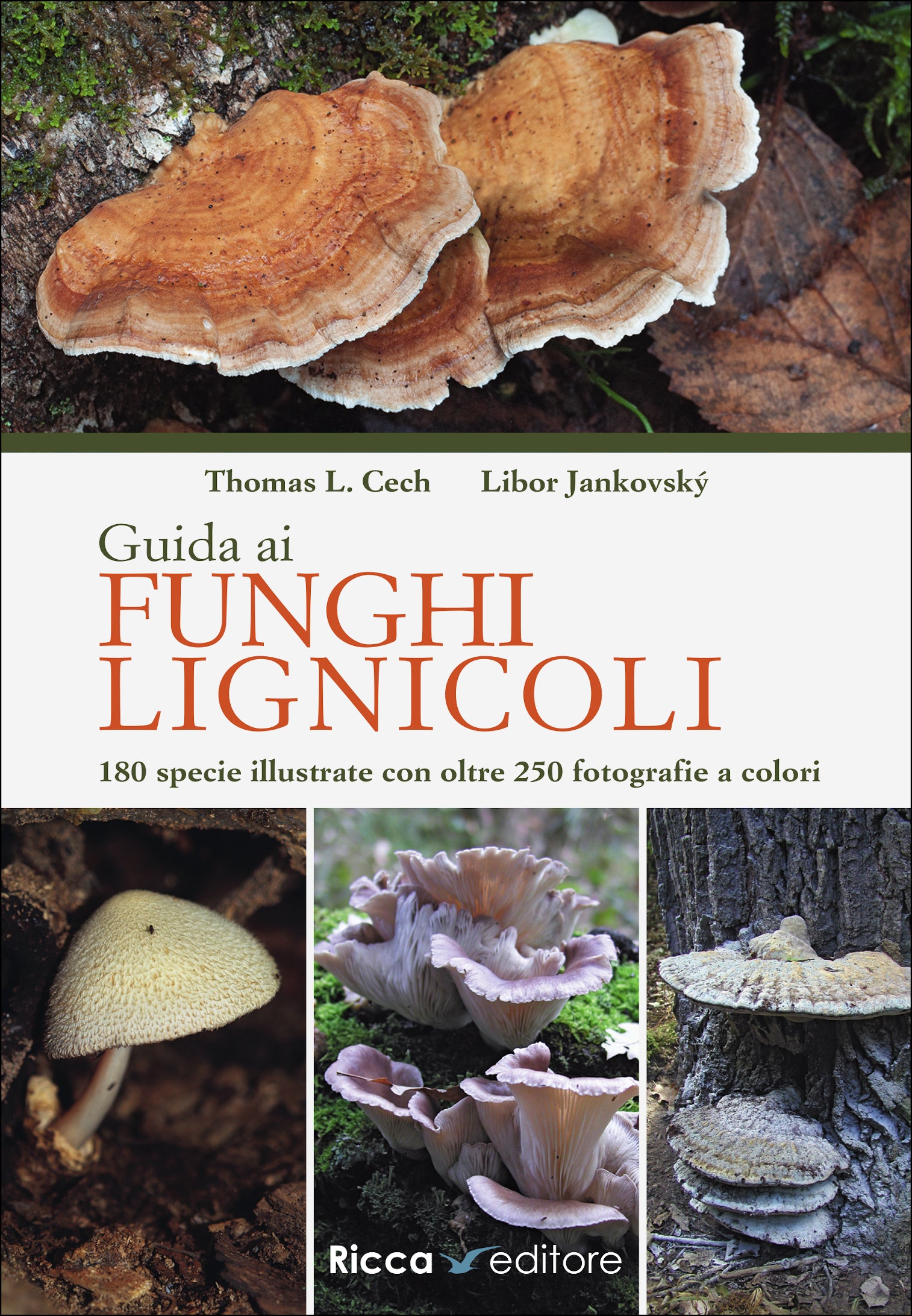 Guida ai funghi lignicoli