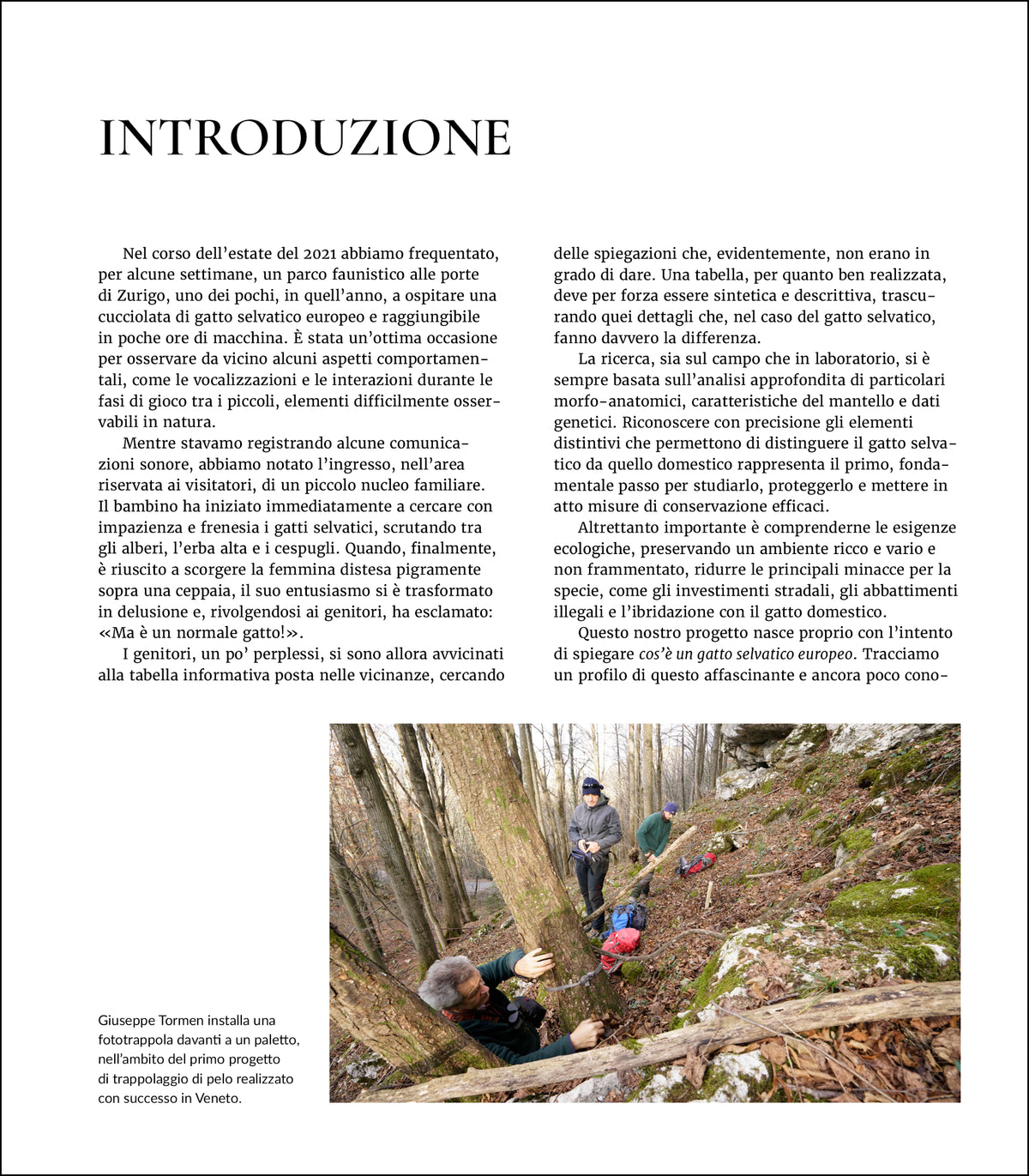 Il gatto selvatico europeo in Italia. Biologia, ecologia e conservazione