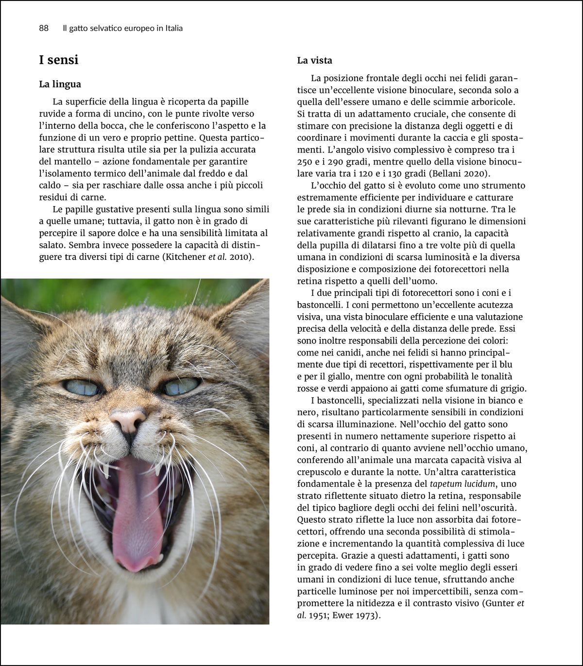 Il gatto selvatico europeo in Italia. Biologia, ecologia e conservazione