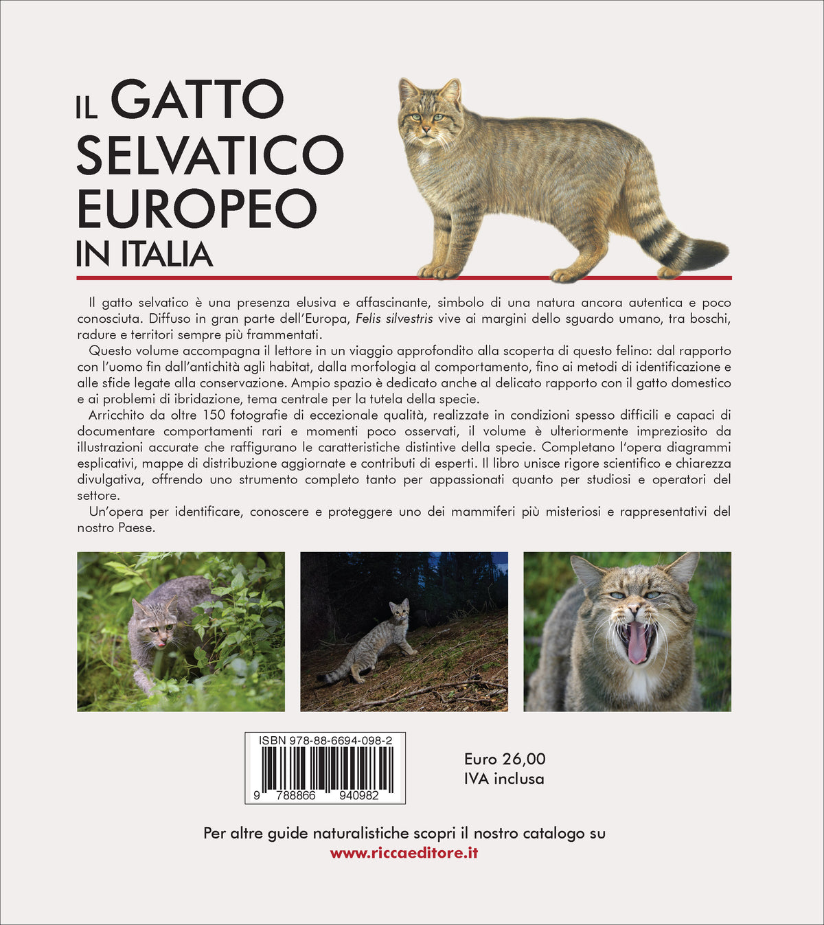 Il gatto selvatico europeo in Italia. Biologia, ecologia e conservazione