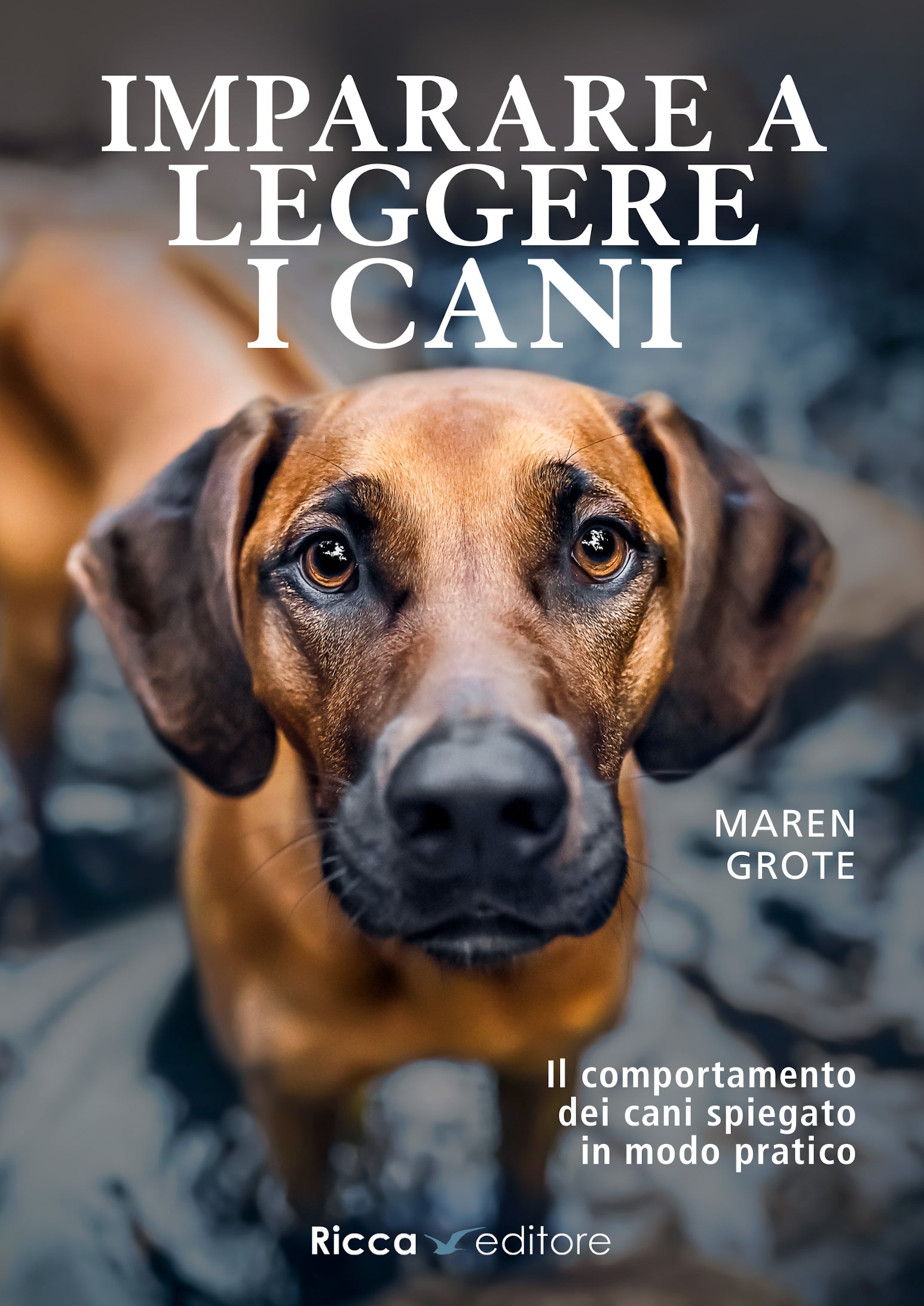 Imparare a leggere i cani. Il comportamento dei cani spiegato in modo pratico