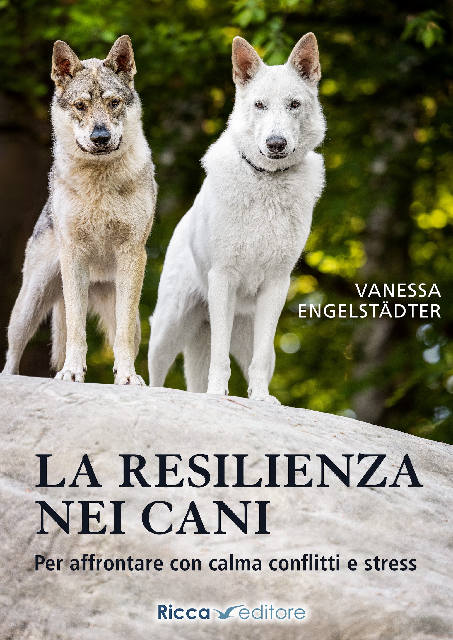 La resilienza nei cani. Per affrontare con calma conflitti e stress