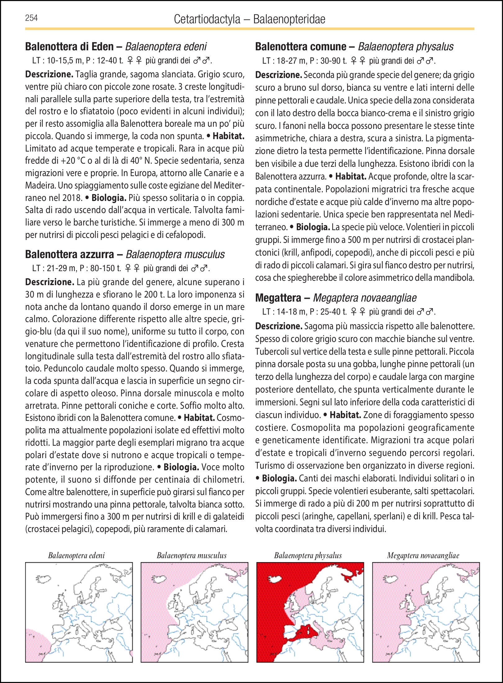 Mammiferi d'Europa, Nord Africa e Medio Oriente