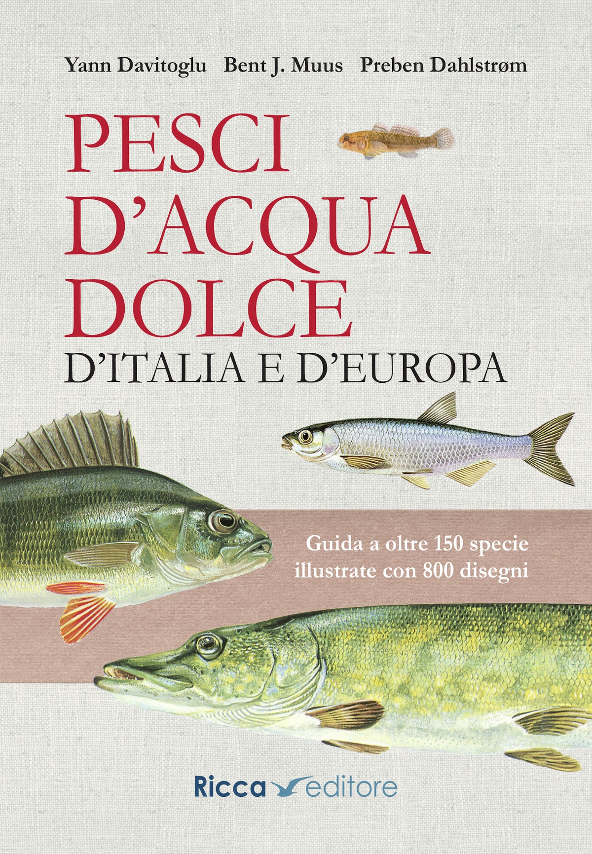 Il grande libro dei pesci tropicali. D'acqua dolce e marina : Parisse, Gelsomina Il grande libro dei pesci tropicali. D'acqua dolce e marina : Parisse, Gelsomina