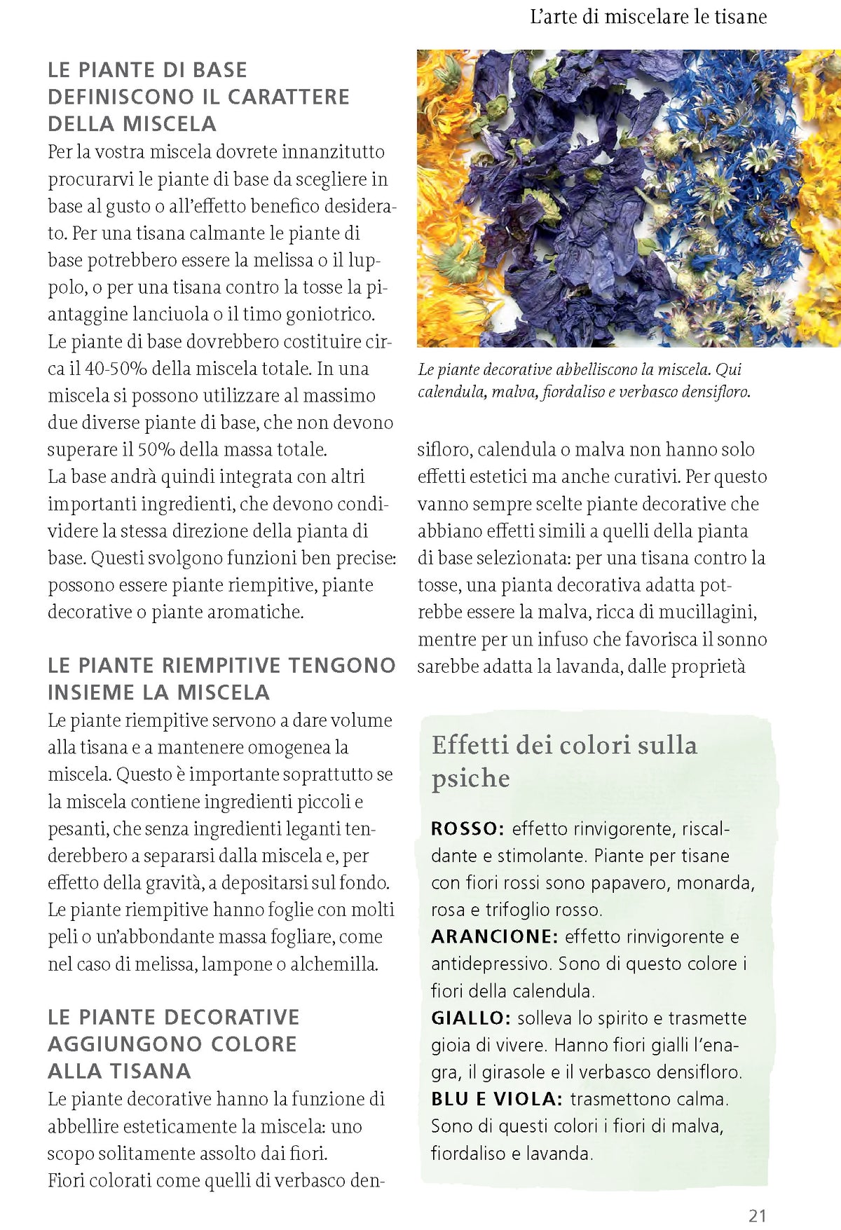 Interni libro Tisane da erbe e frutti selvatici Ricca Editore Beiser miscelare le tisane