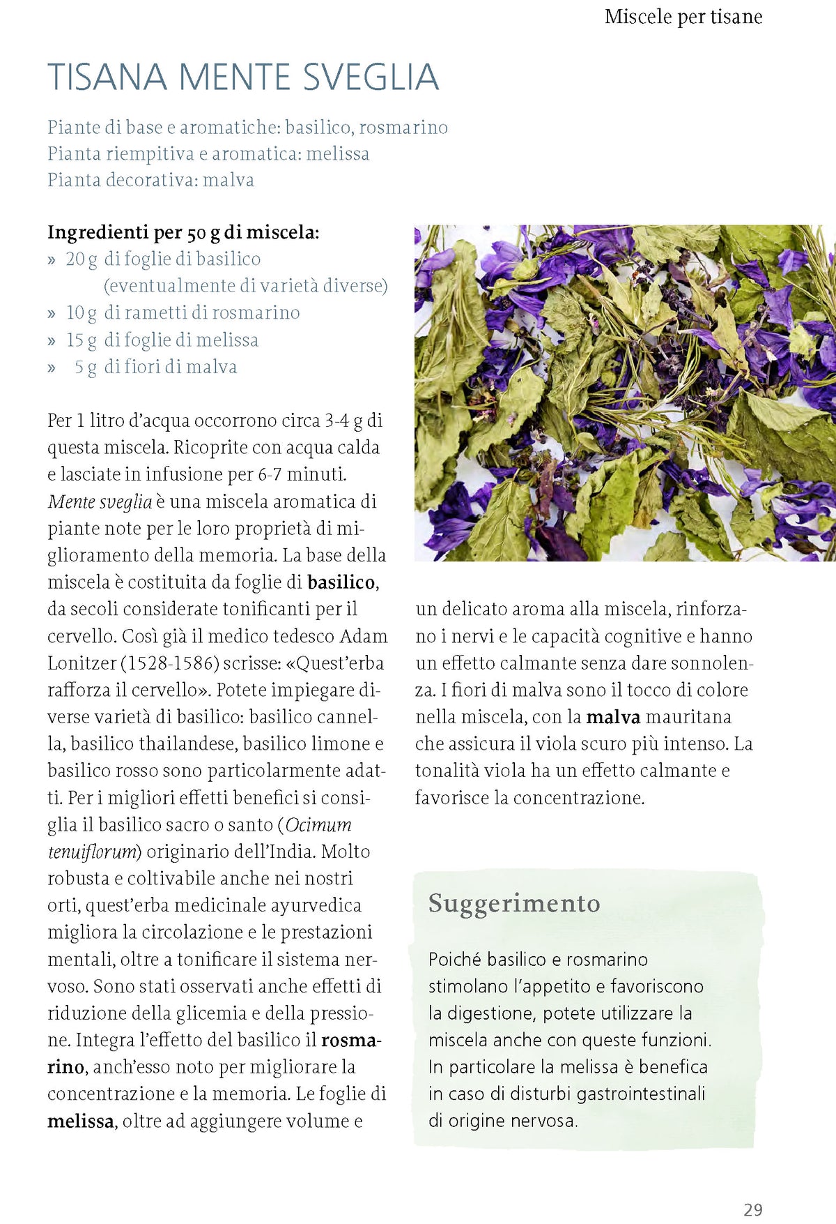 Interni libro Tisane da erbe e frutti selvatici Ricca Editore Beiser tisana mente sveglia