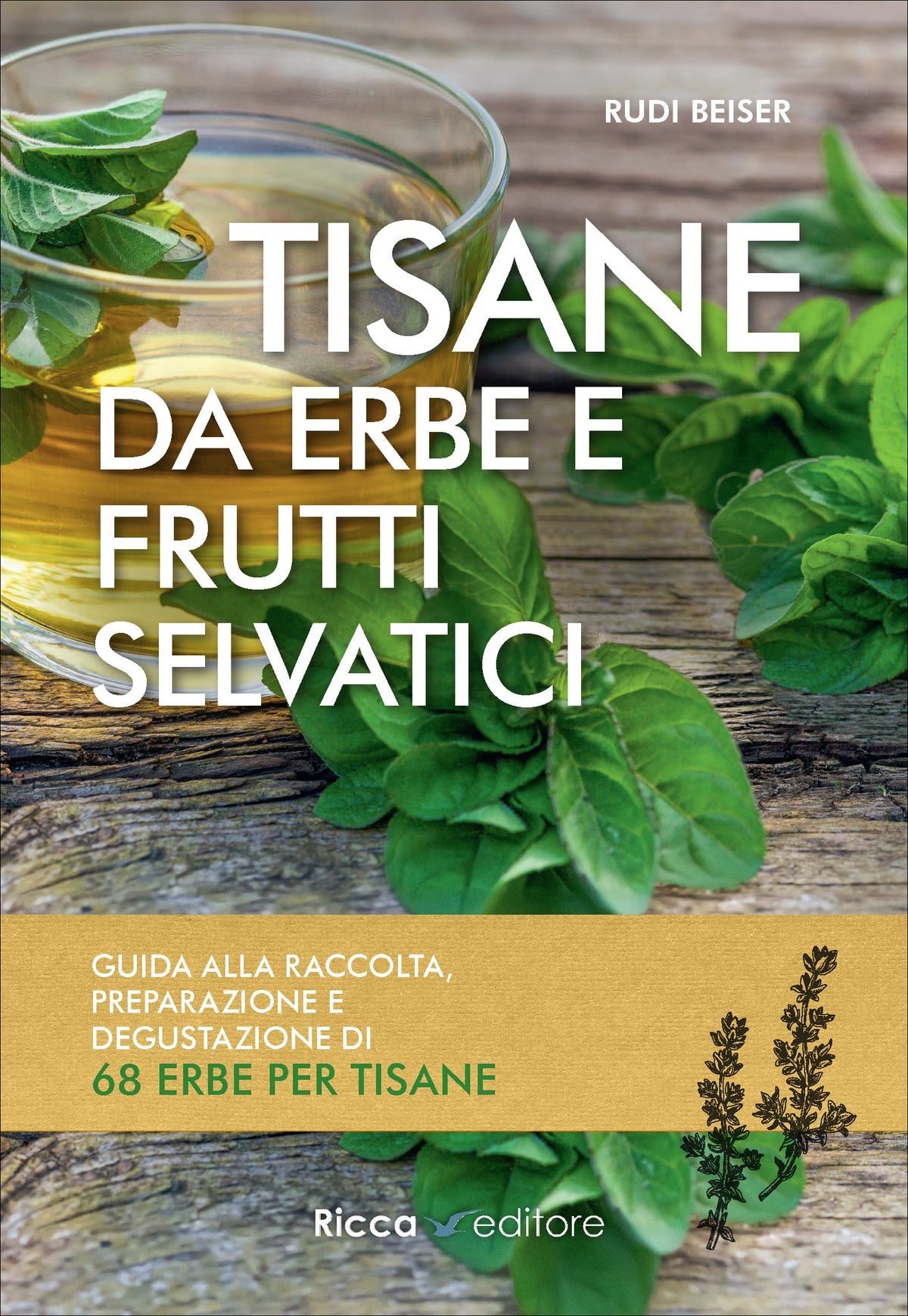 Tisane da erbe e frutti selvatici. Guida alla raccolta, preparazione e degustazione