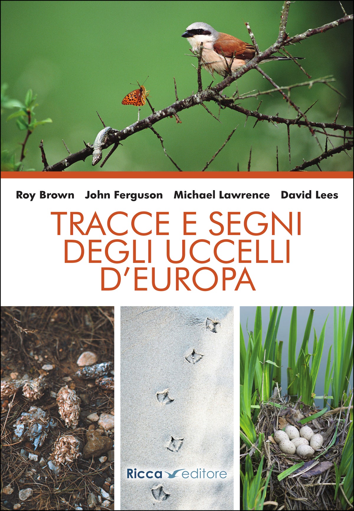Tracce e segni degli uccelli d'Europa