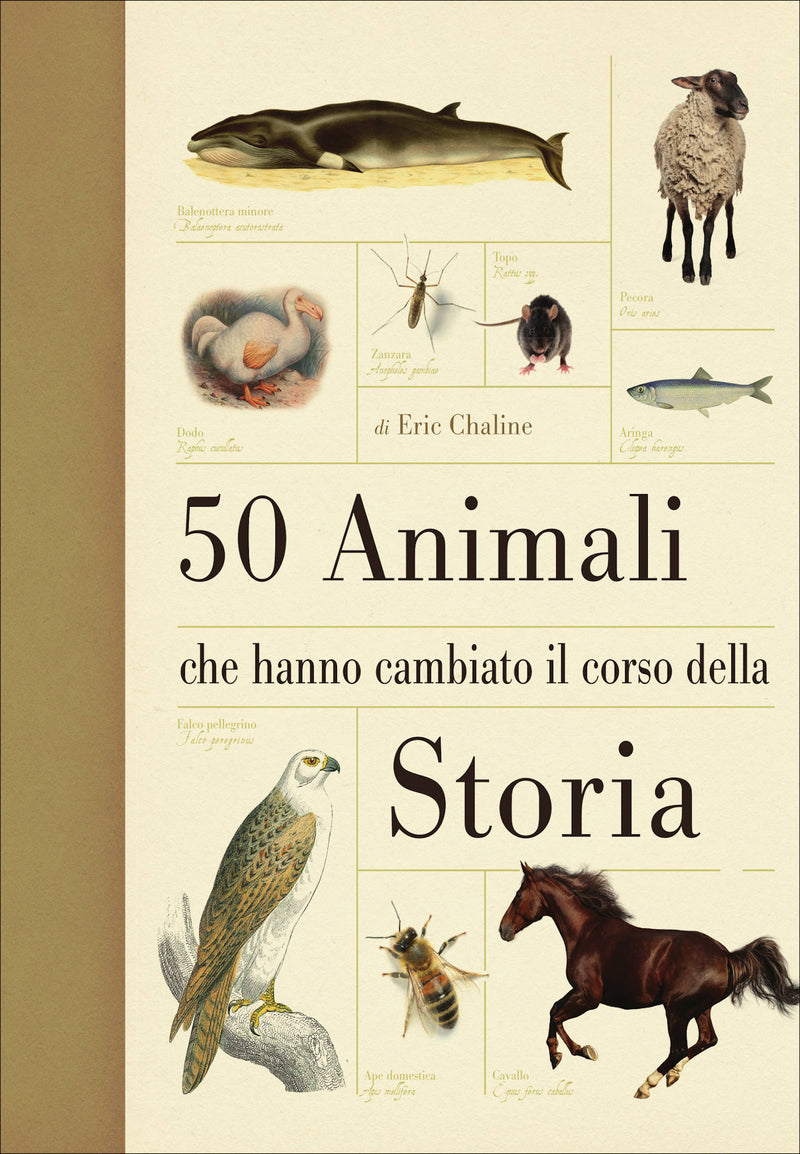 50 animali che hanno cambiato il corso della storia