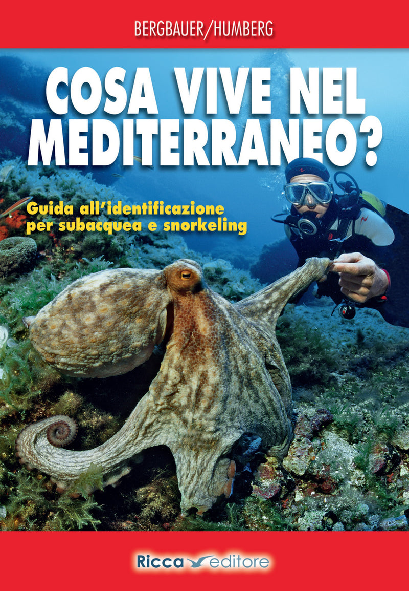Cosa vive nel Mediterraneo? Guida all'identificazione per subacquea e snorkeling