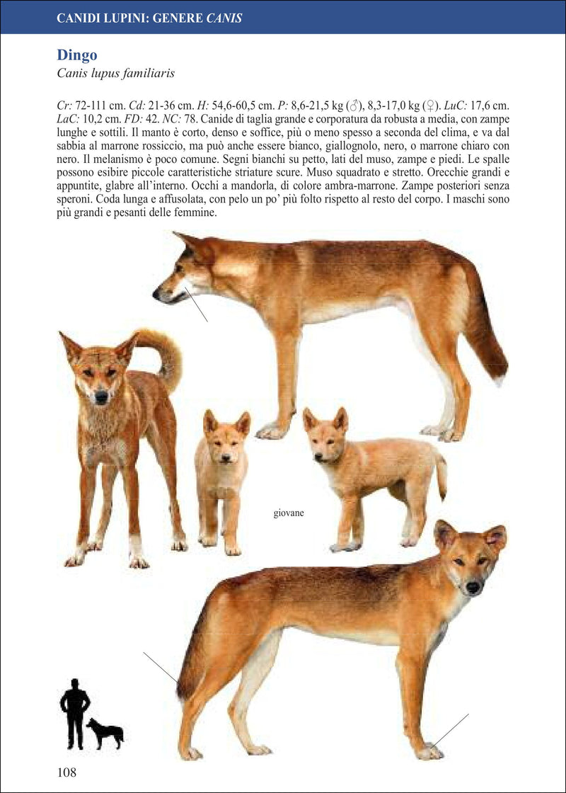 Canidi del mondo. Lupi, cani, volpi, sciacalli, coyote e loro parenti
