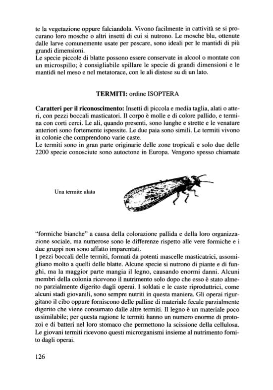 Guida degli insetti d'Europa