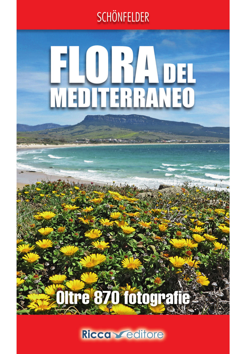Flora del Mediterraneo