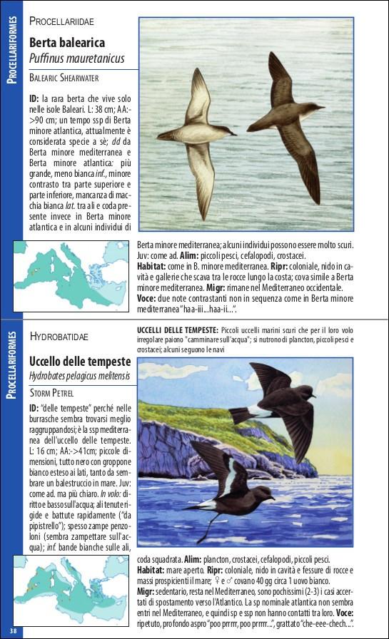 Uccelli del Mediterraneo. Guida all'osservazione