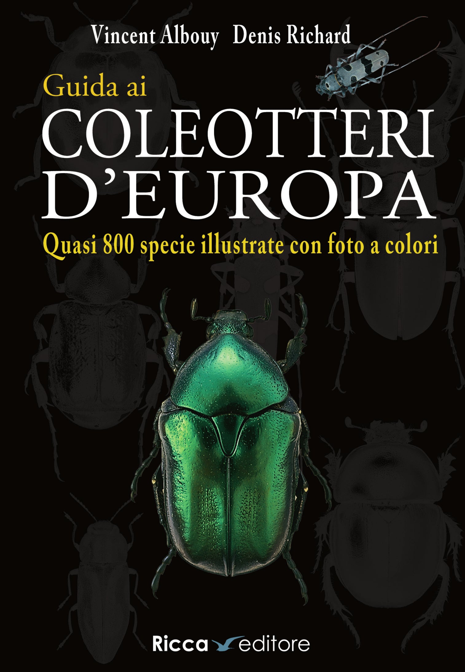 Guida ai coleotteri d'Europa