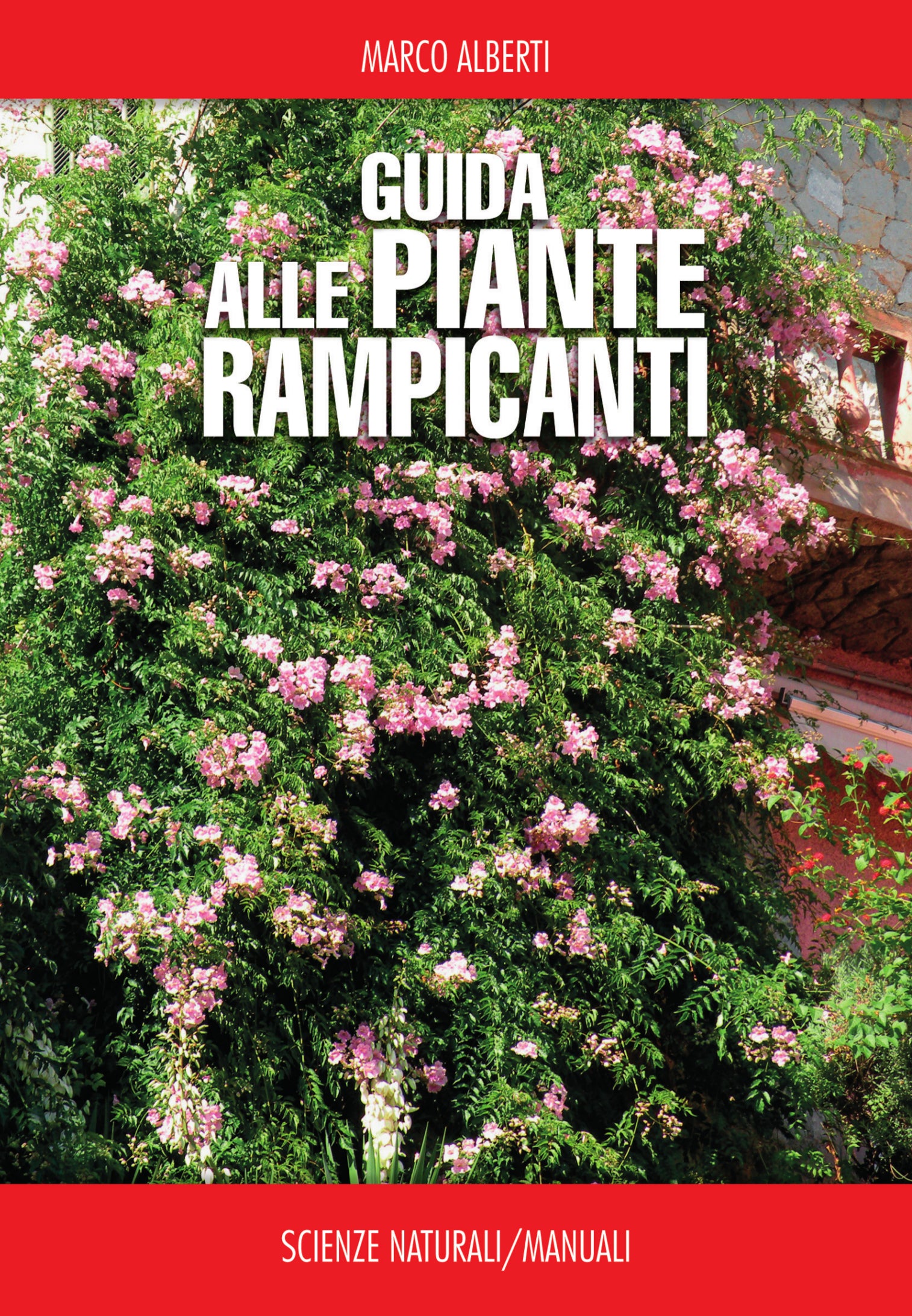 Guida alle piante rampicanti