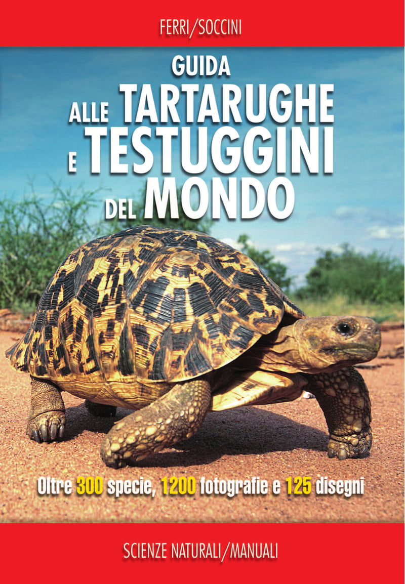 Guida alle tartarughe e testuggini del mondo