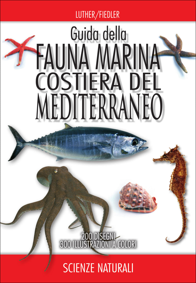Guida alla fauna marina costiera del Mediterraneo