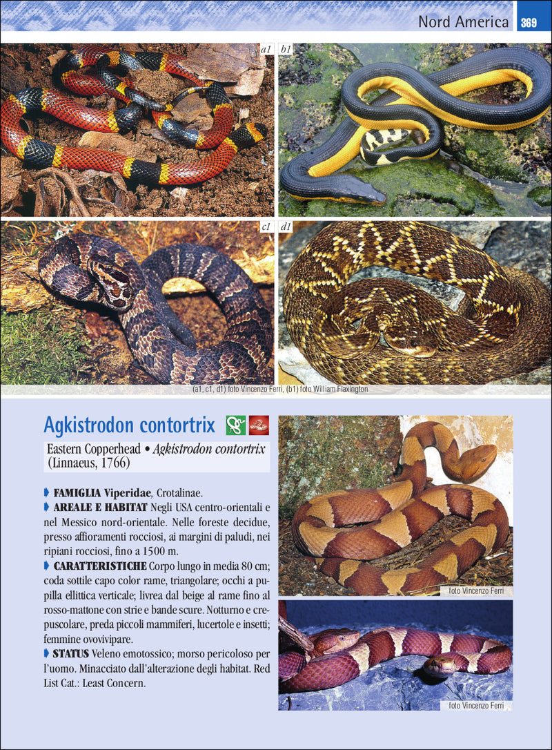 Guida ai serpenti del mondo. Oltre 800 specie illustrate con più di 1200 fotografie
