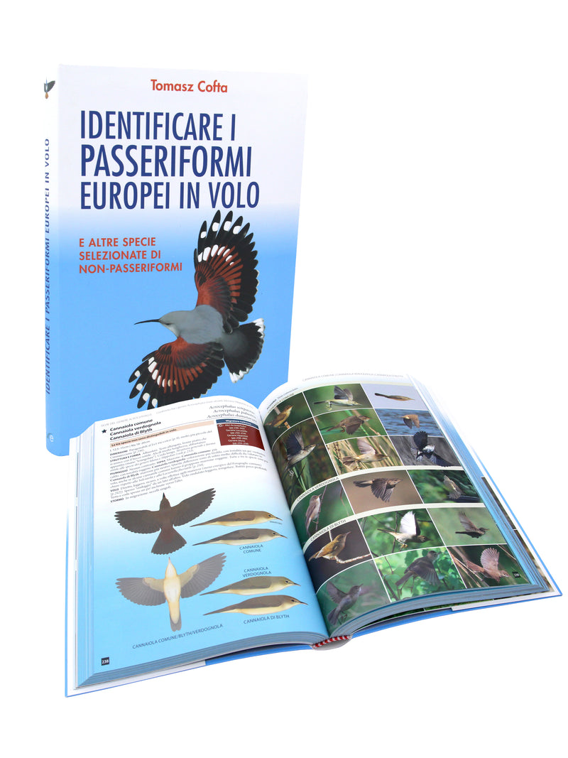 Identificare i passeriformi europei in volo