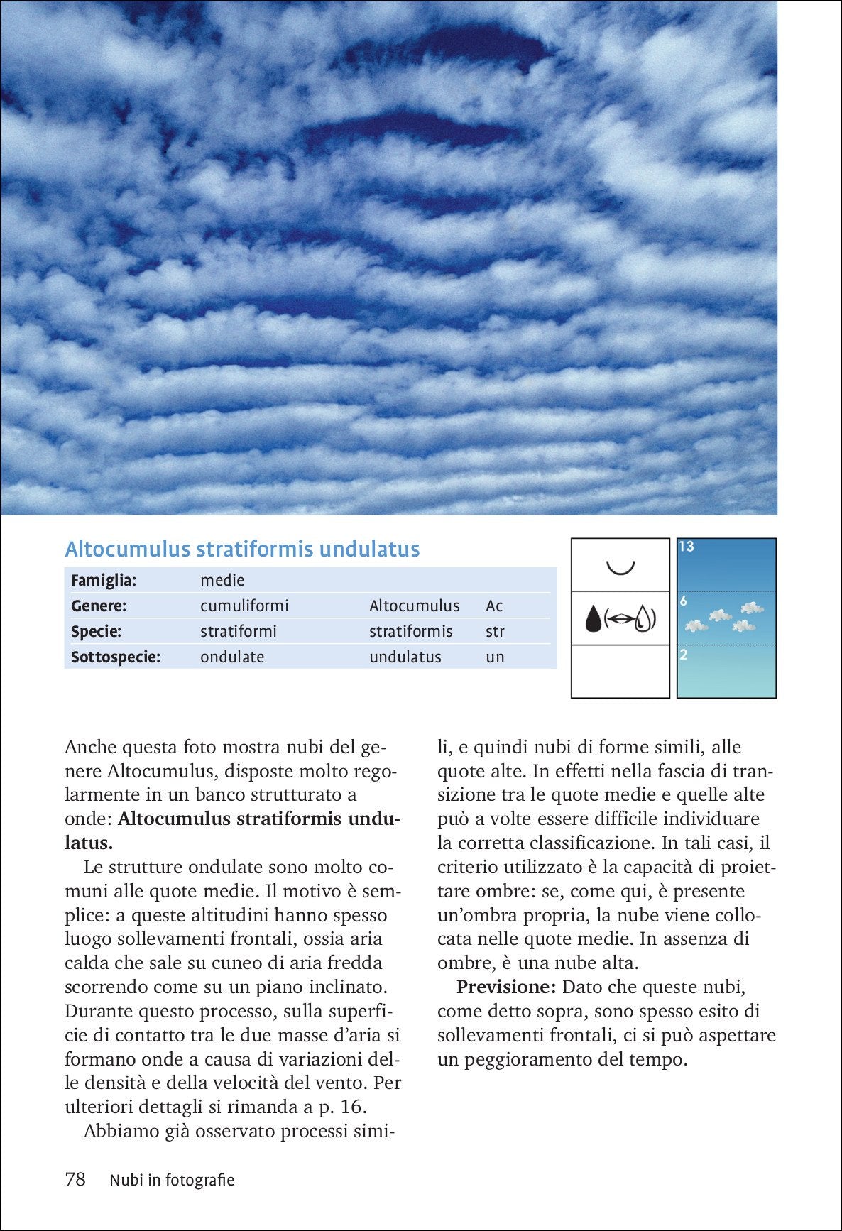 Nuvole e altri fenomeni nel cielo. Manuale di meteorologia con oltre 200 fotografie e grafici